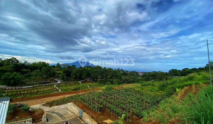 Tanah murah di jln alternatif taman safari puncak bogor megamendung 1