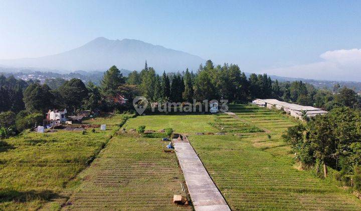 Tanah murah di jln alternatif gadog ciawi pasirmuncang puncak 1