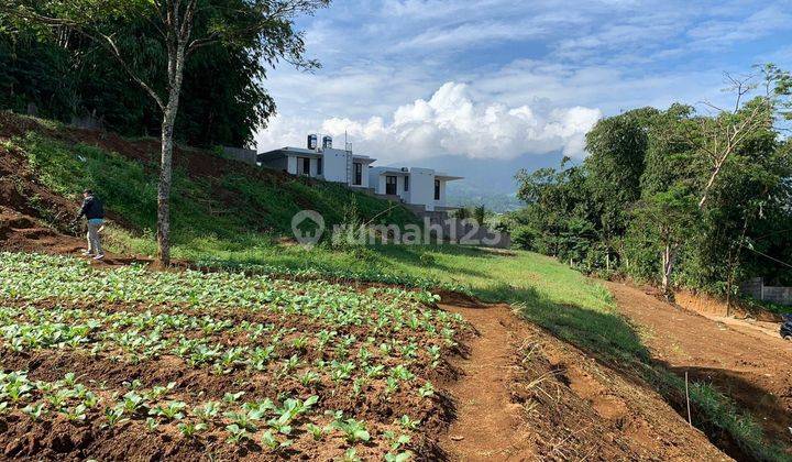 Tanah murah di jln alternatif taman safari puncak 200 1