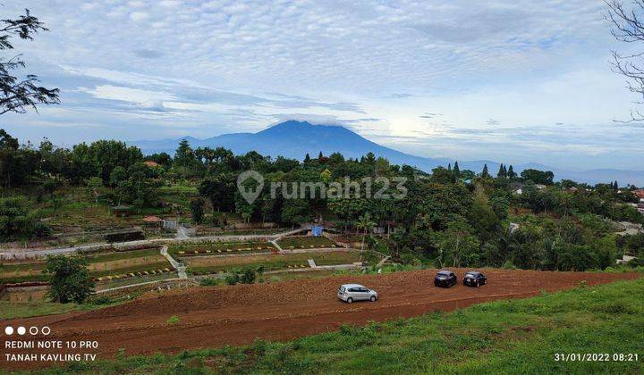 Tanah murah di Jln alternatif taman Safari puncak 3000 SHM 1