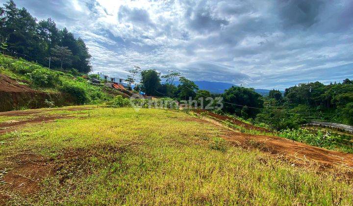 Tanah murah sejuk di jln alternatif taman safari puncak bogor 1