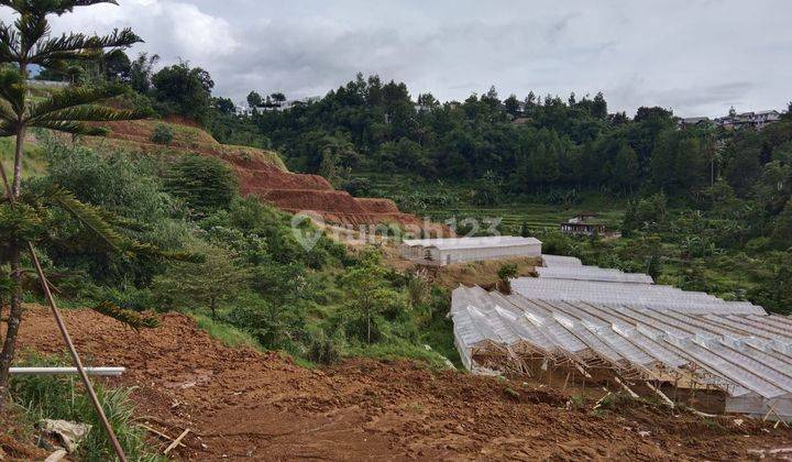 Tanah murah di jln alternatif kp babakan kuta puncak bogor 2