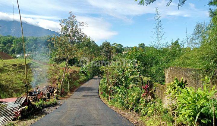 Tanah murah di jln alternatif bumi citeko taman safari puncak bogor 1