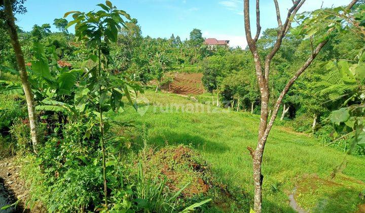 Tanah murah di jln alternatif bumi citeko taman safari puncak bogor 2