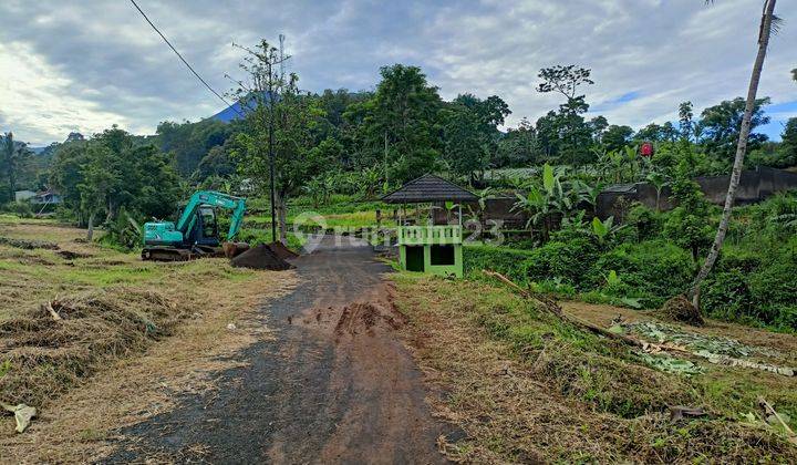 Tanah Murah di Jln Alternatif Taman Safari Cisarua Puncak Bogor  2