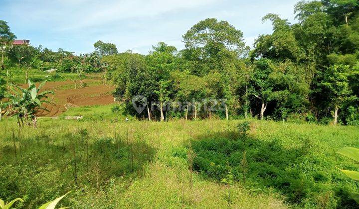 Tanah murah di jln alternatif taman safari cisarua puncak bogor 1