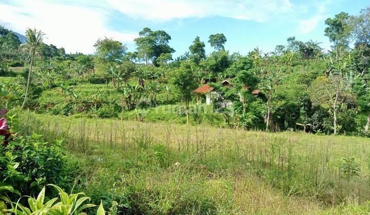 Tanah murah di jln bumi citeko cisarua puncak bogor 2