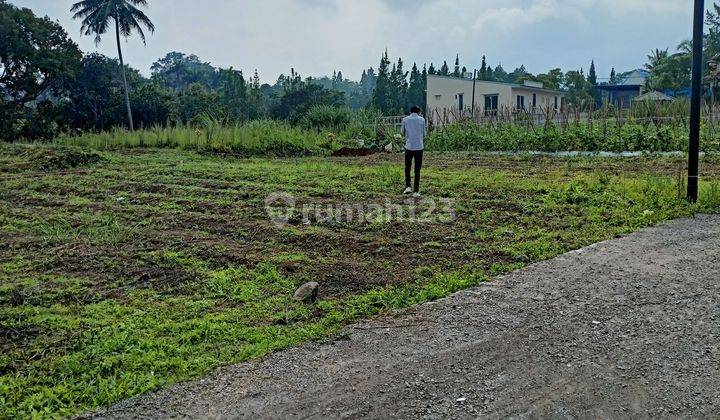 Tanah murah di jln desa sukamanah pasirmuncang puncak bogor 2