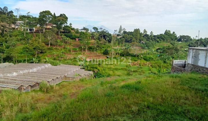 Tanah murah di kp babakan desa kuta kec megamendung kab bogor 1