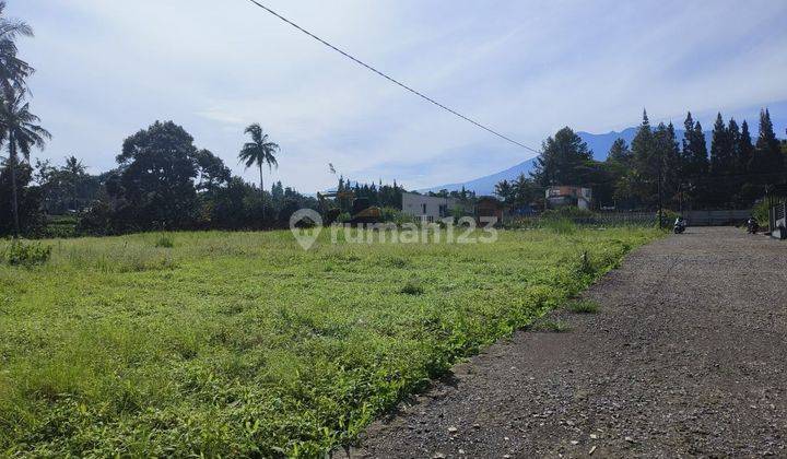 Tanah murah di jln alternatif gadog ciawi puncak 1