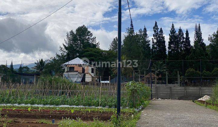 Tanah murah di jln alternatif gadog ciawi puncak 2