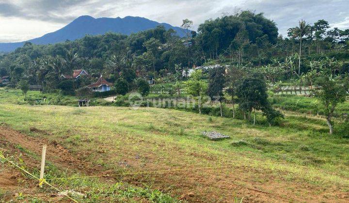 Tanah murah di jln alternatif taman safari citeko cisarua puncak 1