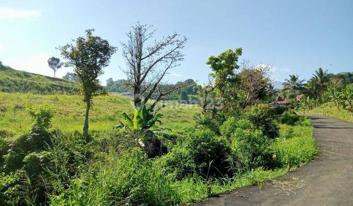 Tanah murah di jln alternatif taman safari bumi citeko puncak  1