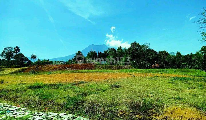 Tanah murah dingin megamendung puncak bogor shm 1