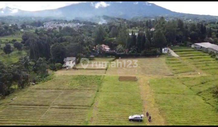 Tanah murah di jln alternatif gadog ciawi puncak bogor 2