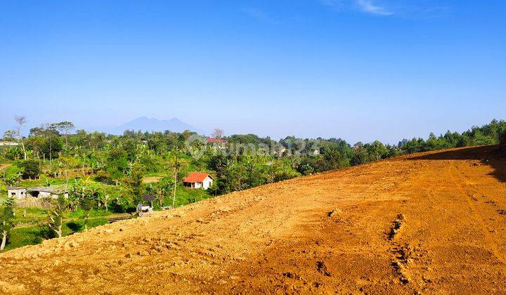 Tanah Murah di Cisarua Puncak Bogor 1