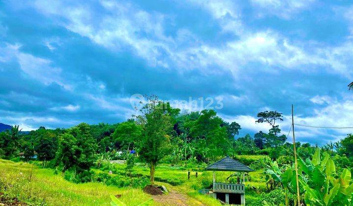 Tanah Murah di Cisarua Puncak Bogor 2