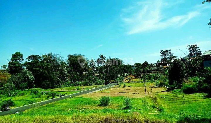 Tanah Murah Dingin Megamendung Puncak Bogor 1