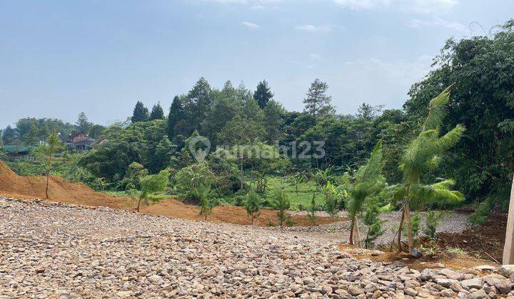 Tanah Murah Cisarua Megamendung Puncak Bogor Shm 2