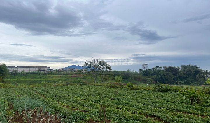  Tanah Murah di Jln alternatif puncak ciawi bogor, Megamendung 1