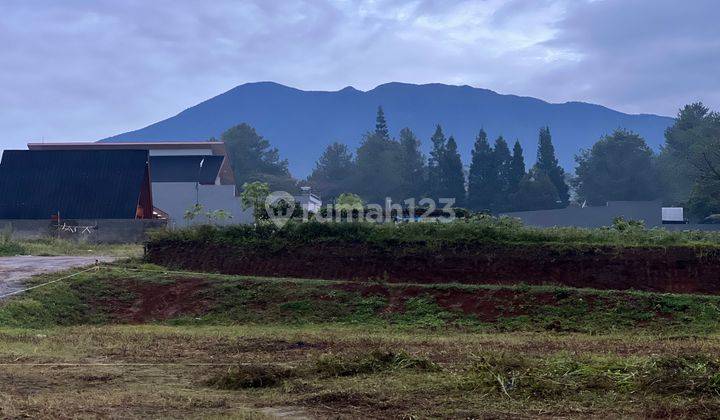  Tanah di Jln alternatif gadog ciawi puncak bogor, Megamendung 2