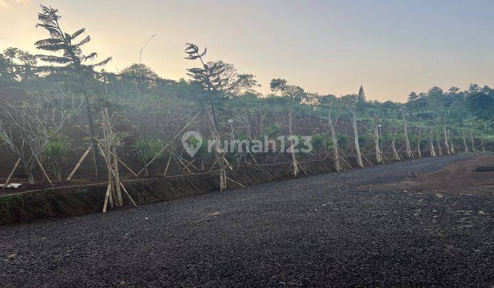  Tanah di Jln alternatif taman Safari Puncak Bogor 2