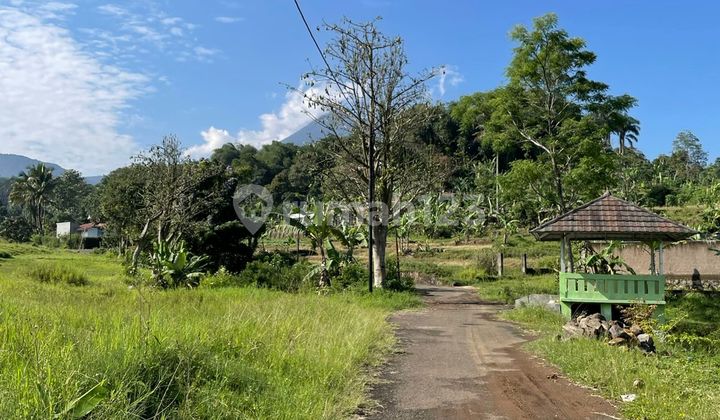 Tanah murah di area wisata cisarua puncak bogor Tanah murah di area wisata cisarua puncak bogor