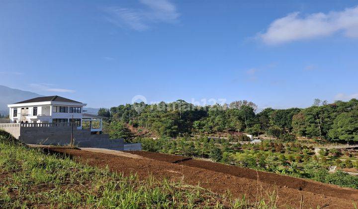  Tanah Murah di Jln alternatif taman safari puncak bogor, Puncak 2