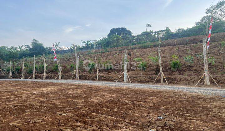  Tanah Murah Di Jalan Alternatif Taman Safaripuncak Doyong Bogor 1