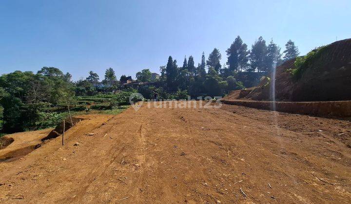 Tanah Murah Siap Bangun Dingin Puncak Bogor Shm 1