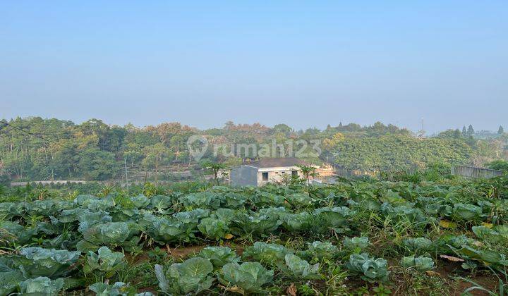 Tanah Dingin Shm Puncak Bogor Megamendung 1500m 1