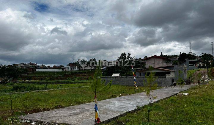 Tanah di jln alternatif puncak simpang gadog ciawi, Megamendung 2