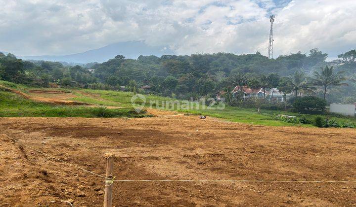  Tanah Murah Di Jln Alternatif Taman Safari Cisarua Puncak Bogor 1