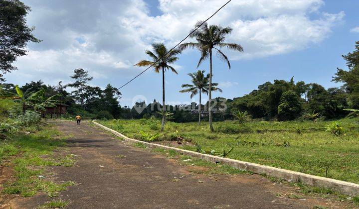 Tanah Datar Sejuk Dingin Cisarua Puncak Bogor 2