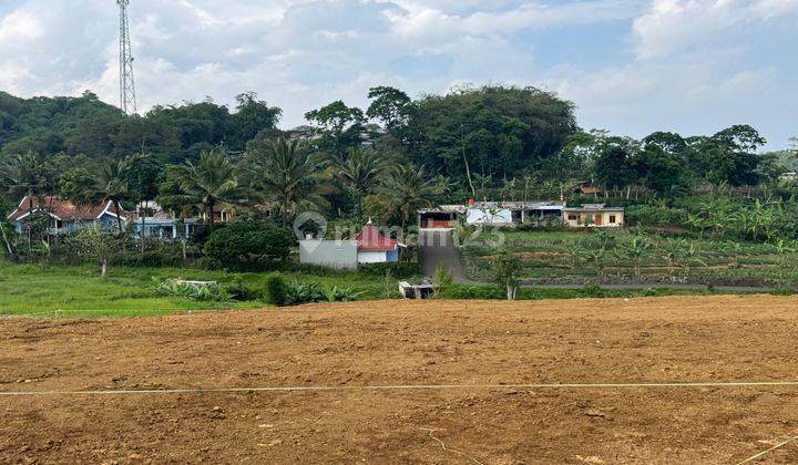 Tanah Murah Dingin Di Cisarua Puncak Bogor Private 1