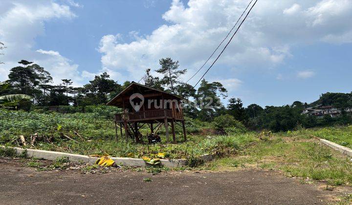 Tanah Murah Datar Sejuk Cisarua Puncak Bogor Shm 1