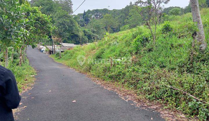  Tanah Murah Dingin Sejuk Shm Siap Bangun Puncak Bogor 2