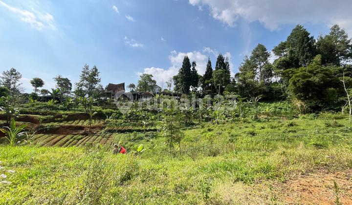 Tanah murah di daerah megamendung puncak bogor shm Tanah murah di daerah megamendung puncak bogor shm