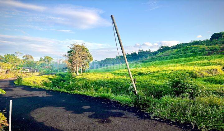 Tanah Murah Di Puncak Bogor Megamendung Best View 2