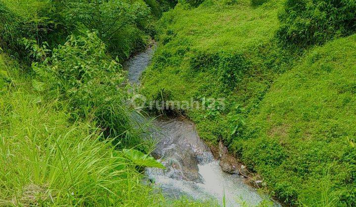  Tanah Murah di Jln alternatif taman safari puncak bogor, Puncak 1