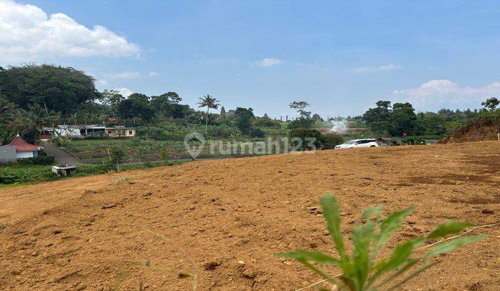 Tanah Shm Murah Di Alternatif Taman Safari Puncak Bogor 2