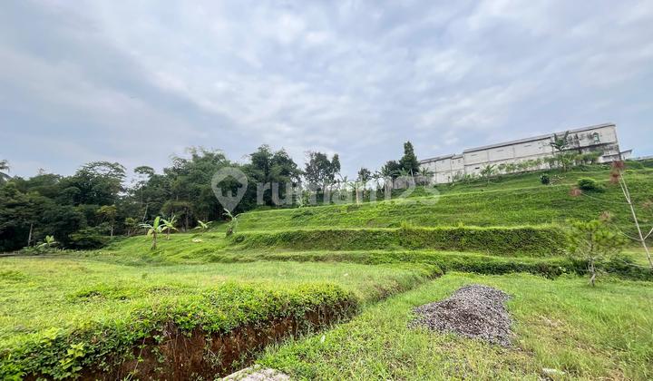 Tanah murah shm di megamendung puncak bogor strtegis Tanah murah shm di megamendung puncak bogor strtegis