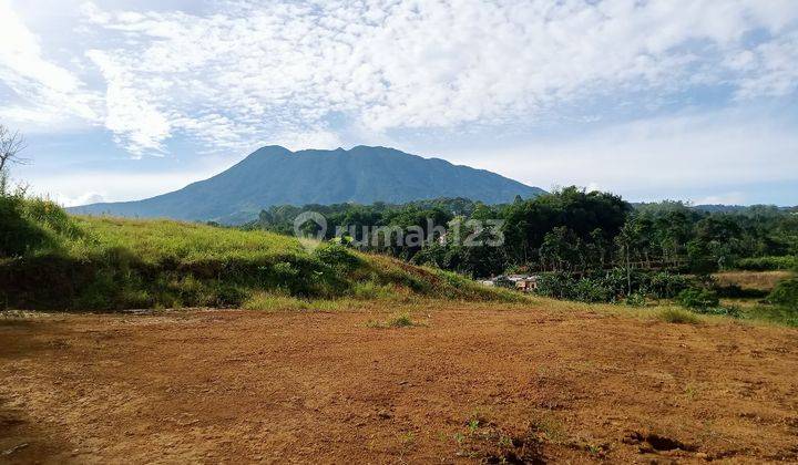 kavling premium di kawasan wisata cisarua puncak bogor 1