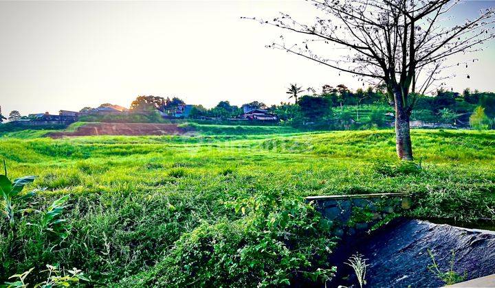  Tanah Murah di Jln alternatif puncak bogor bumi citeko, Puncak 1