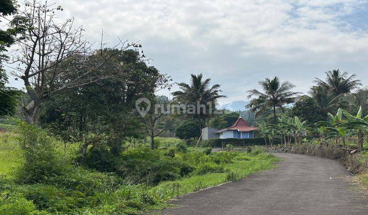  Tanah Murah Di Jln Alternatif Taman Safari Cisarua Puncak Bogor 2