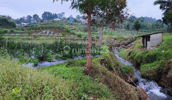 Tanah Di Jln Alternatif Taman Safari Bumi Citeko Puncak Bogor 2