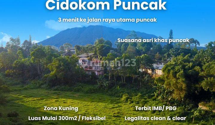 Tanah Datar Sejuk Dingin Cisarua Puncak Bogor 1