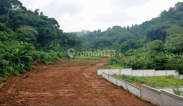 Tanah Murah Shm Di Jln Alternatif Taman Safari Puncak Bogor 1