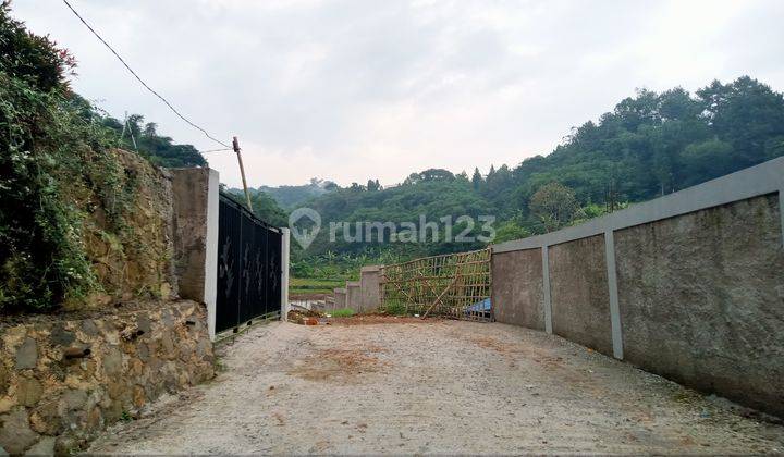 Tanah Murah Megamendung Puncak Bogor Shm 1000m 1