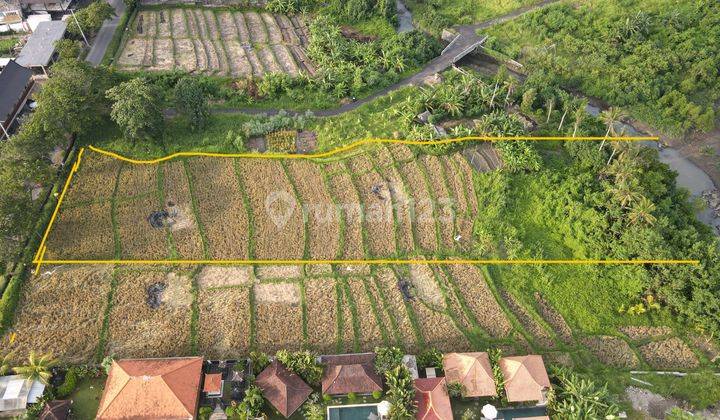 For Lease Premium land, Seseh Canggu Land 2